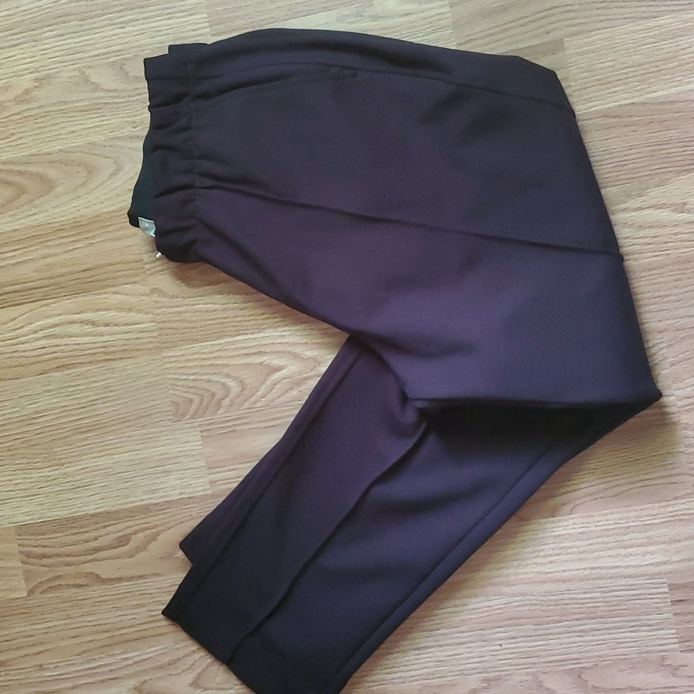 Everlane the dream pants